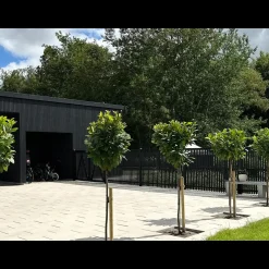 Plus Lamelhegn^Sendai hegn 180x80 cm sort