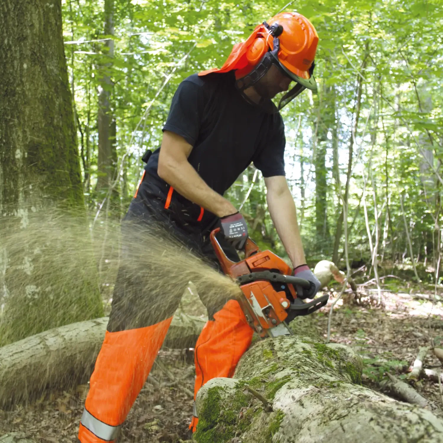 Diverse Beskyttelsesudstyr^Proff sikkerhedssæt, skærebukser & hjelm
