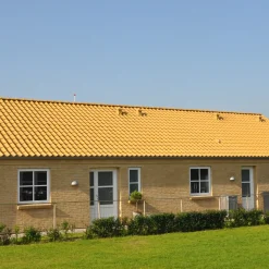 Randers Tegl Tagsten^RT 811 Højslev vingetagsten lille dansk, gul