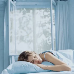 Online Tesa ® Insect Stop Insektnet Standard t/ vinduer 1,3x1,5 m hvid