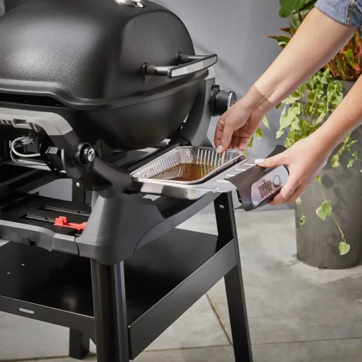 Weber Weber Gasgrill^® Q1200N gasgrill med stander