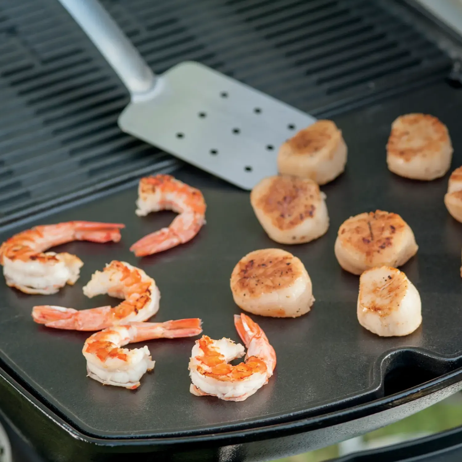 Weber Stegeplader Og Holdere^® stegeplade til Q200/2000-serien (indtil 2024)