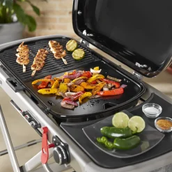 Weber Stegeplader Og Holdere^stegeplade traveler