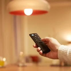 Hot Philips Smart Wiz WIZ Smart trådløs fjernbetjening